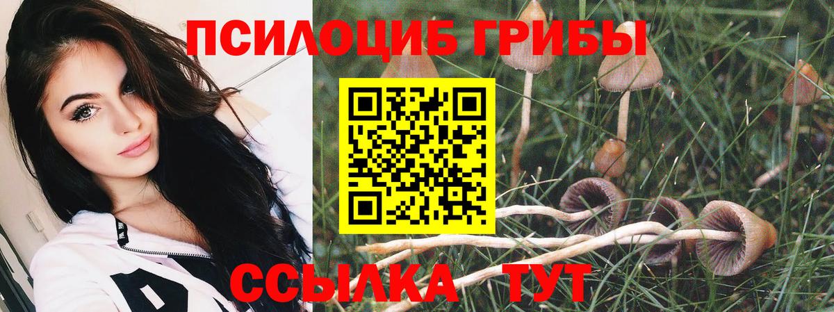 Галлюциногенные грибы прущие грибы  продажа наркотиков  Звенигород  Вход с VPN 
